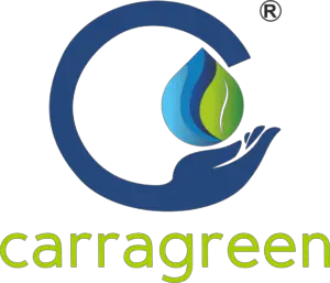 Caragreen’s Success on Shark Tank India: Revolutionizing Eco-Friendly Packaging